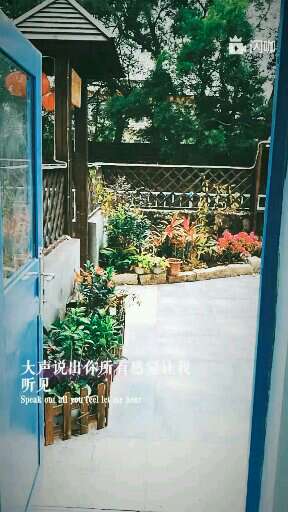兔展一
